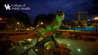zoom background of cat statue with college of public health logo