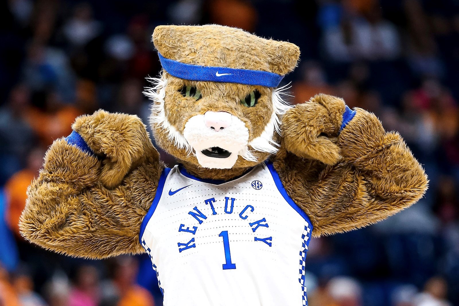 a photograph of the UK mascot posing