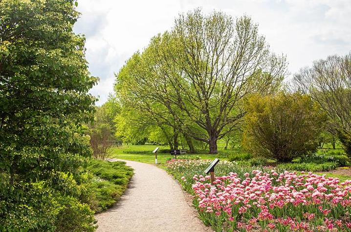 Picture of walkway with pink flowers at the Arboretum Botanical Garden in Kentucky