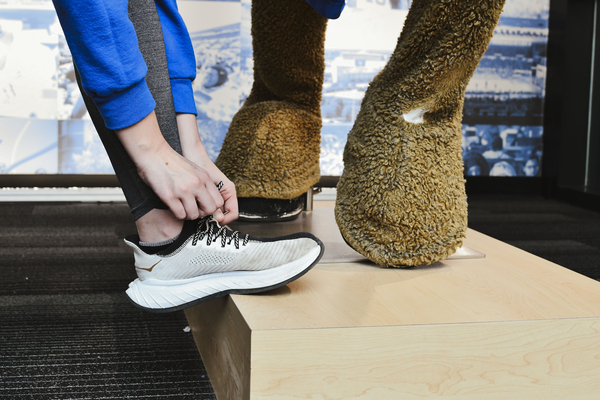 a stock photograph of someone tying the sneakers next to the feet of a horse statue