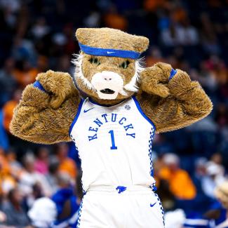 a photograph of the UK mascot posing