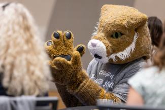 a photograph of The Wildcat mascot in a chair in the crowd clapping at the Pump it Up Event