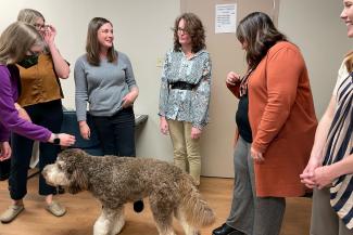 College of Public Health staff and faculty playing with a dog in a classroom