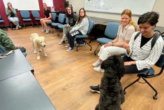 a photograph of students in a classroom playing with two different dogs