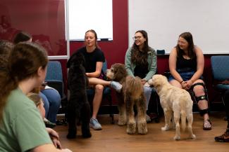 a photograph of students in a classroom petting three different dogs