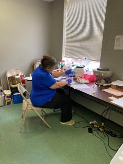 Delores Silverthorn, RN processing blood samples in a lab room