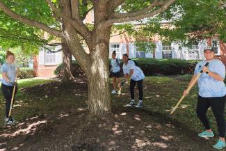 a photograph of students in College of Public Health t-shirts taking care of trees