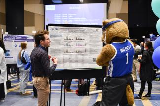 a photograph student presenting research poster to the Wildcat mascot
