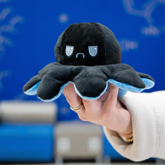 a photograph of the plush toy octopus available at Public Health Halloween 2026