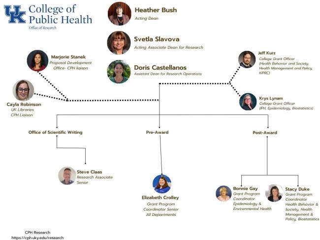 an organizational chart for the College of Public Health's Office of Research