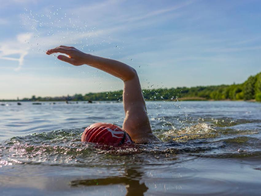 a photograph of a person swimming in a lake