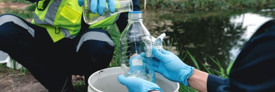 a photograph of researchers taking a sample of water out of a pond