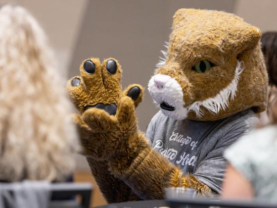 a University of Kentucky wildcat mascot in a College of Public Health t-shirt
